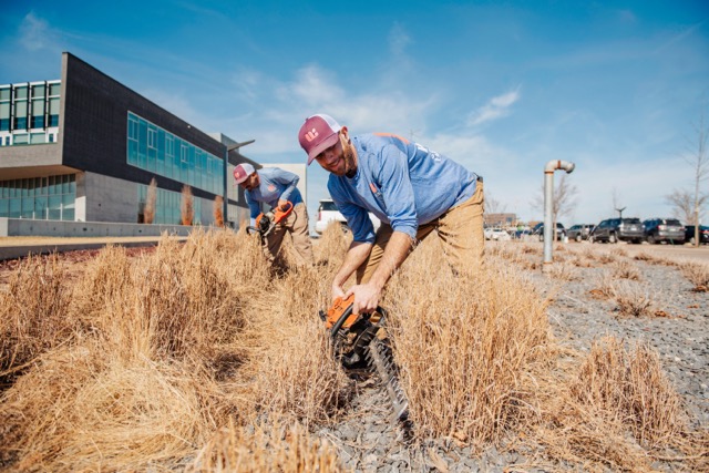 Willis Commercial Landscaping shrub trimming OKC business
