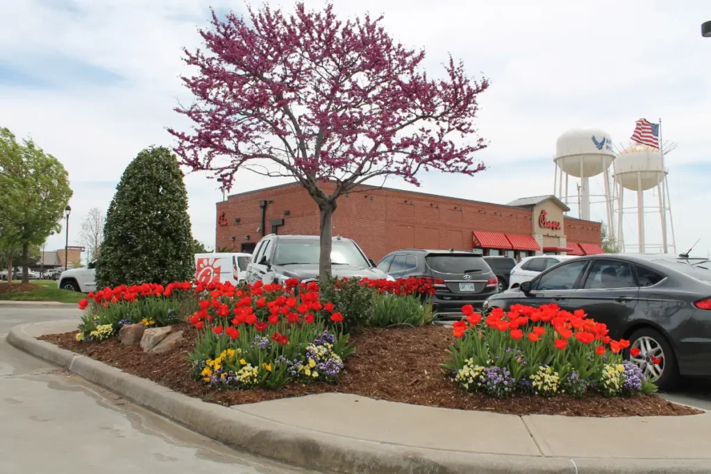 Chick-fil-A commercial landscaping in OKC by Willis 11