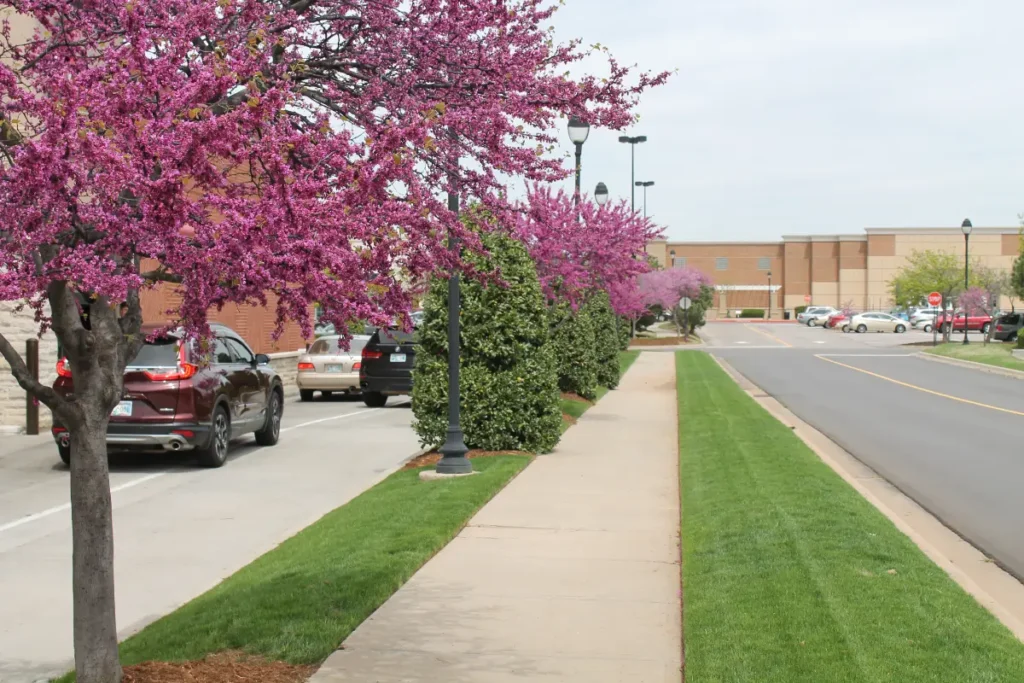 Chick-fil-A commercial landscaping in OKC by Willis 17