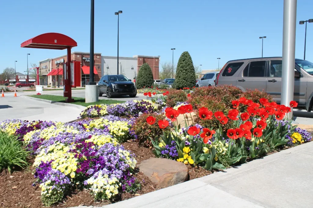 Chick-fil-A commercial landscaping in OKC by Willis 7