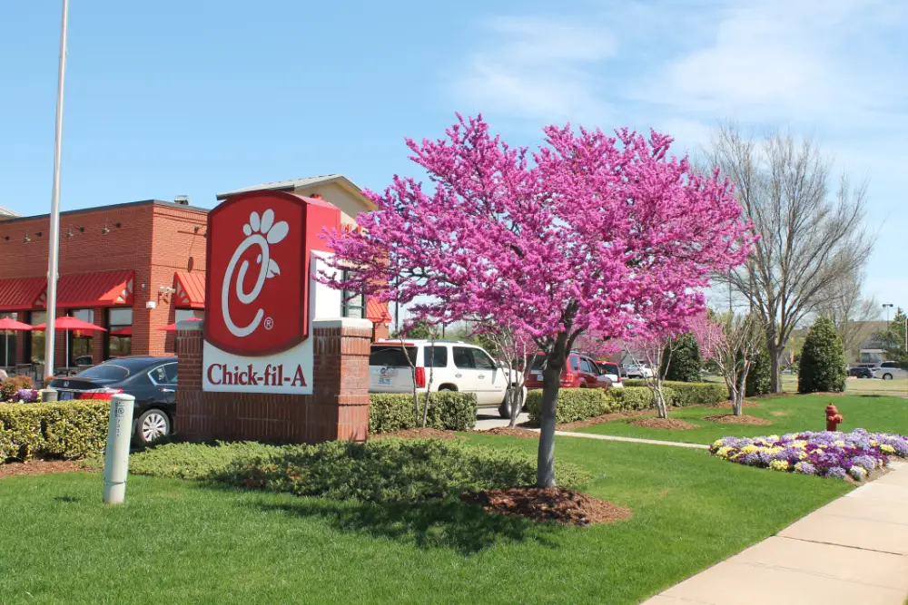 Chick-fil-a project by Willis Commercial Landscaping Chick-fil-a project by Willis Commercial Landscaping