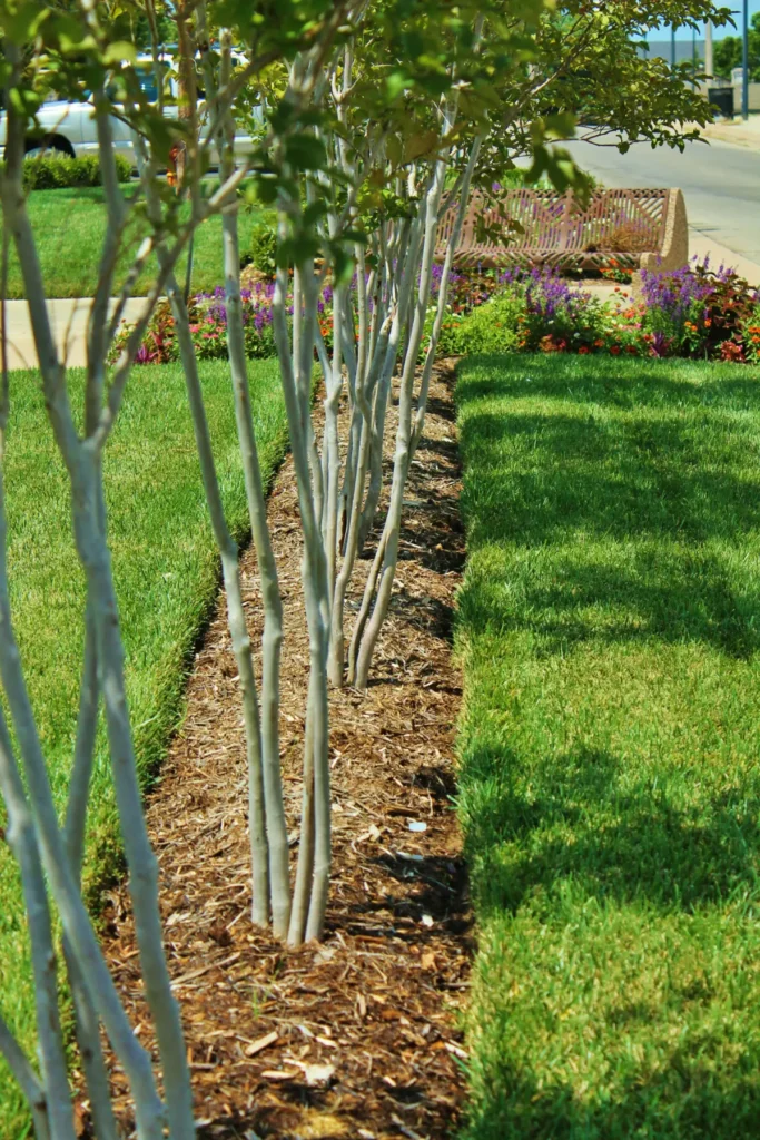 City of Choctaw landscaping after Willis services 11