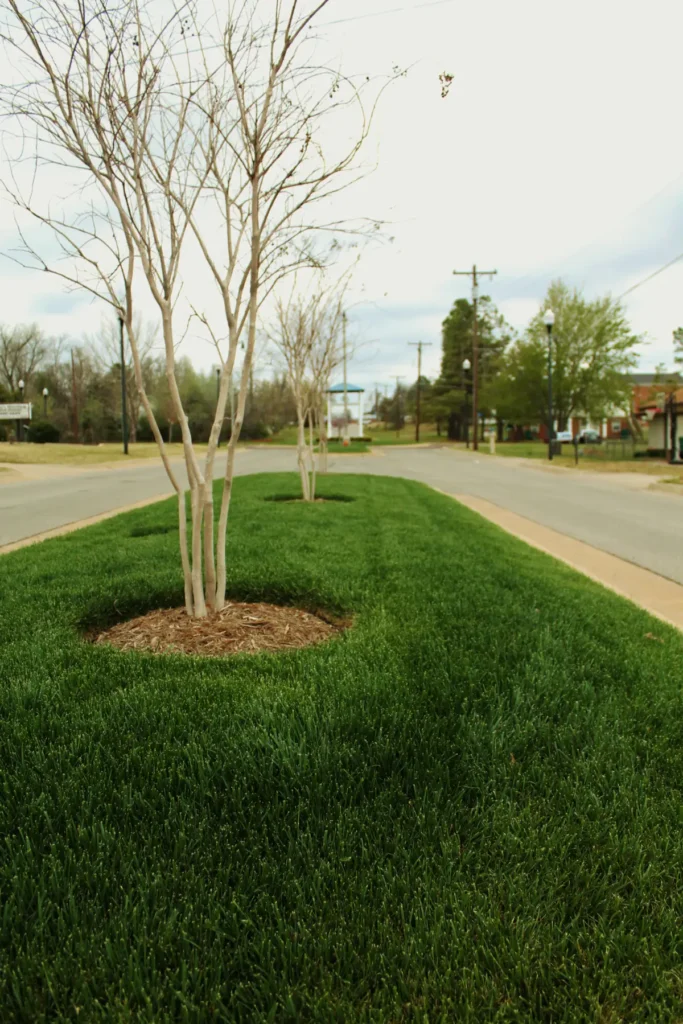 City of Choctaw landscaping after Willis services 14