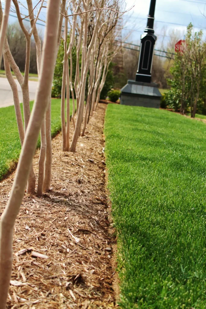 City of Choctaw landscaping after Willis services 15