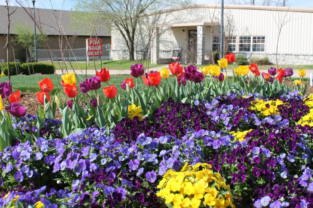 City of Choctaw landscaping after Willis services 3