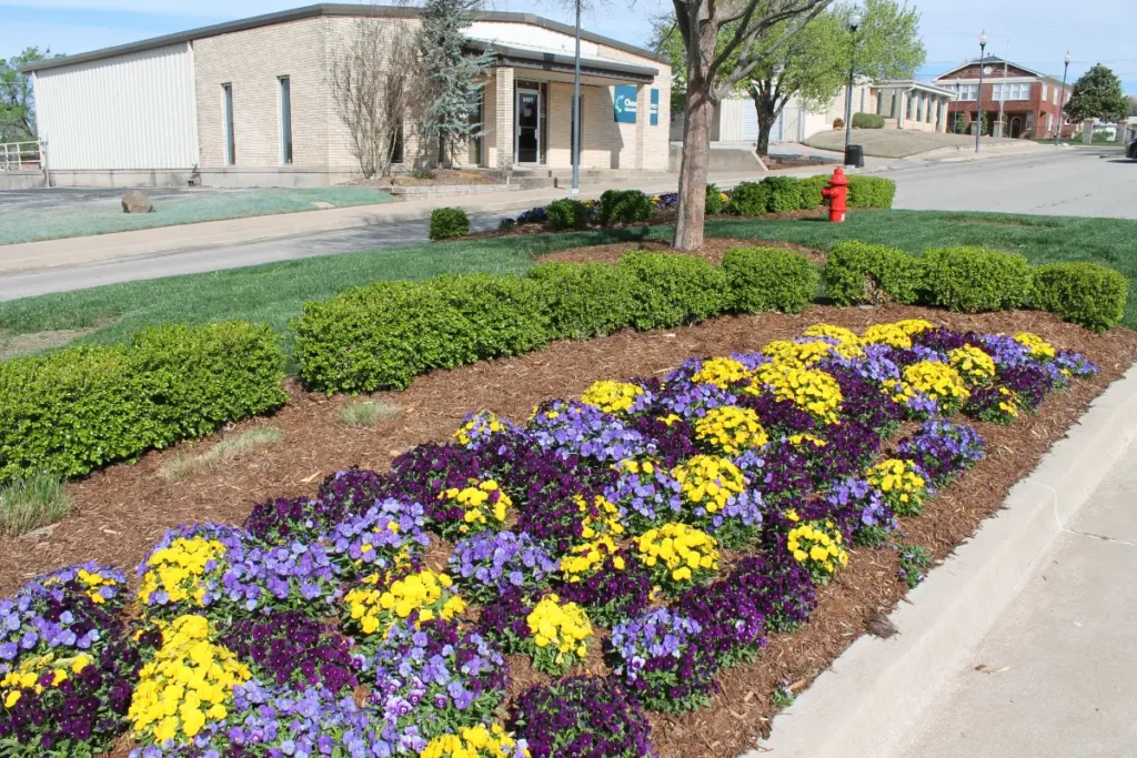 City of Choctaw landscaping after Willis services 4
