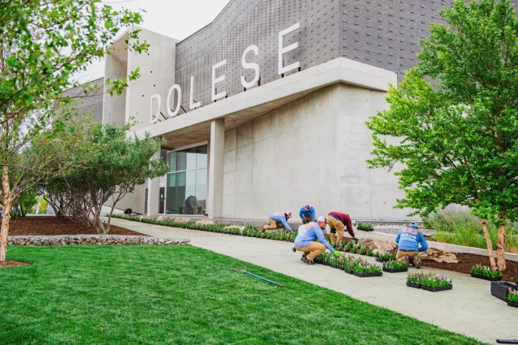 Willis Commercial Landscaping at Dolese headquarters