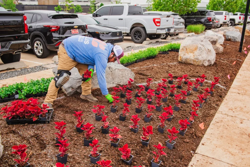Willis Commercial Landscaping at Dolese headquarters planting flowers