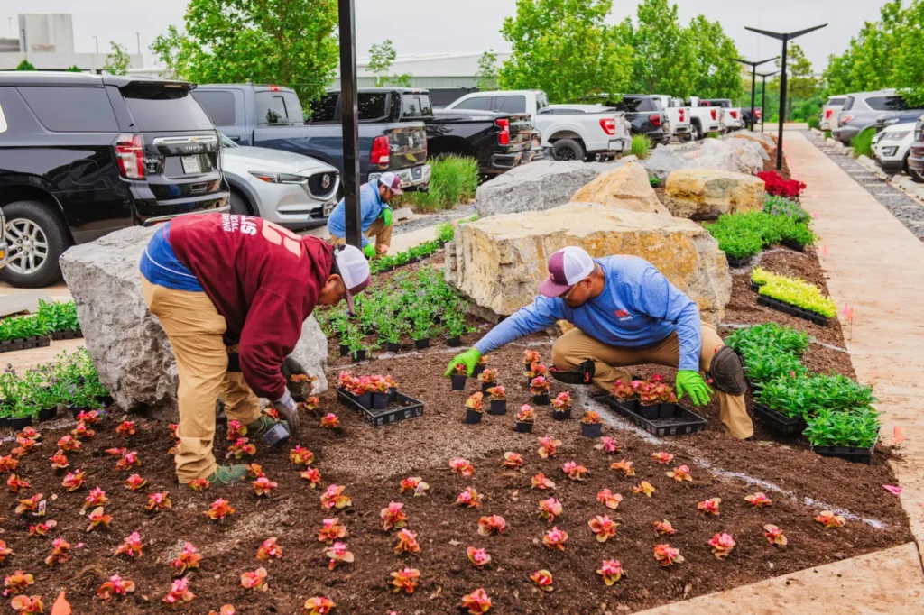 Willis Commercial Landscaping at Dolese headquarters planting