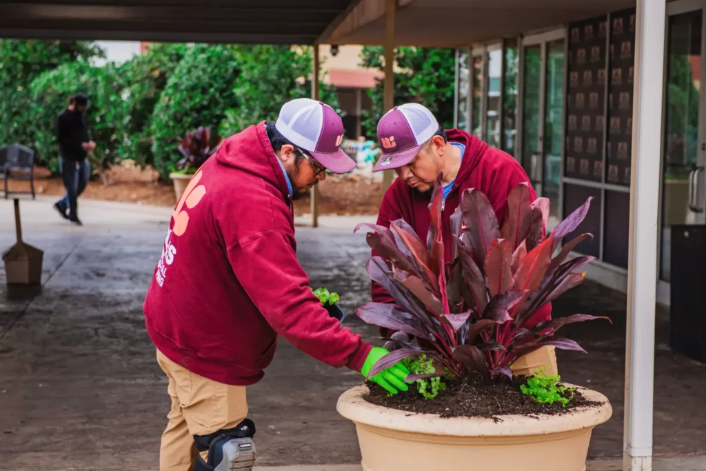 Willis Commercial Landscaping at Remington Park planter