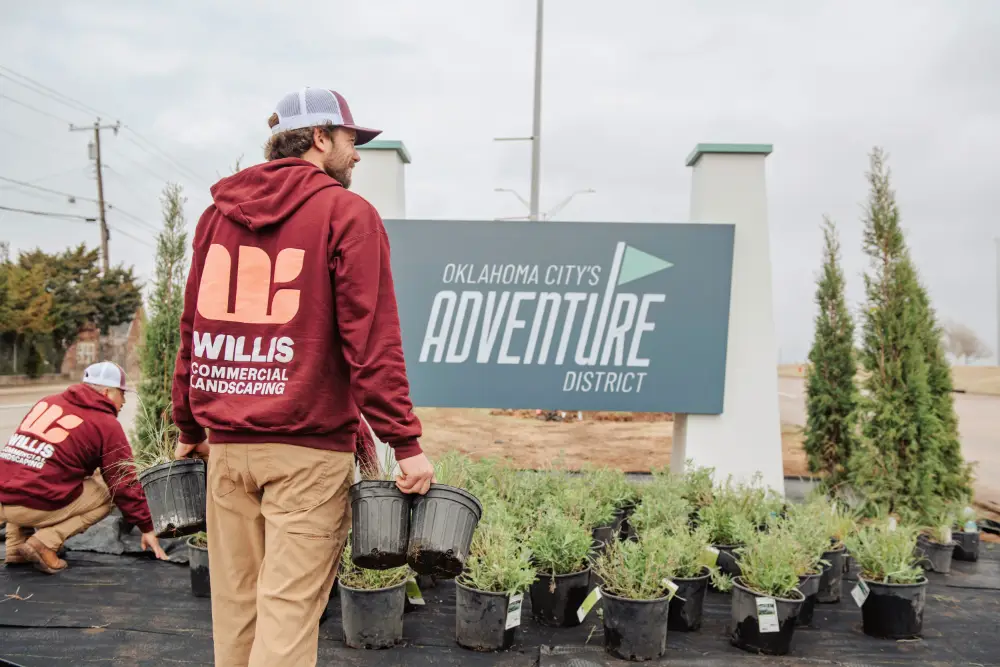 Willis Commercial Landscaping techs planting at Oklahoma City Adventure Diistrict Willis Commercial Landscaping techs planting at Oklahoma City Adventure Diistrict